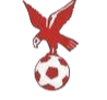 https://img.xashjhj.com/img/football/team/4802d26df935b78bb2fcdbbff36e8864.png